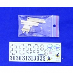 Fiat C.R.20 Lithuanian AF Early Scheme & Ski - Kora KPK 72 072