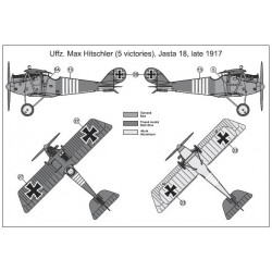 Pfalz D.IIIa Aces - MAC 72128