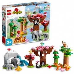 Divoká zvířata Asie - Lego...