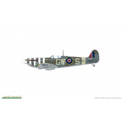 SPITFIRE STORY The Sweeps (Limited Edition) - Eduard 11153
