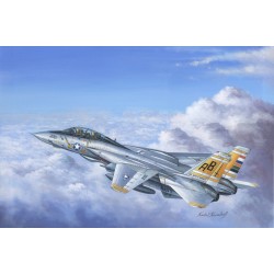 Grumman F-14A Tomcat - Hobby Boss 80366