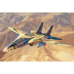 “Persian Cat” F-14A TomCat - IRIAF - Hobby Boss 81771