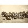 Three-horse cavalry carriage 37mm Bofors w.36 - First to Fight PL1939-099