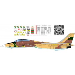 Obtisky Grumman F-14 Tomcat Islamic Republic of Iran AF - BSmodelle BSM720409