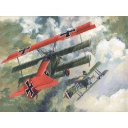 Fokker Dr.I (March 1918) - Roden 010